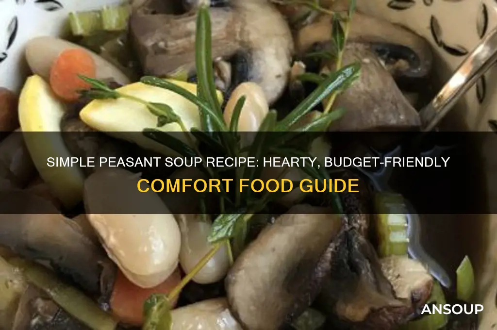 Budget-Friendly Peasant Soup: Reduce Waste, Nourish Your Family